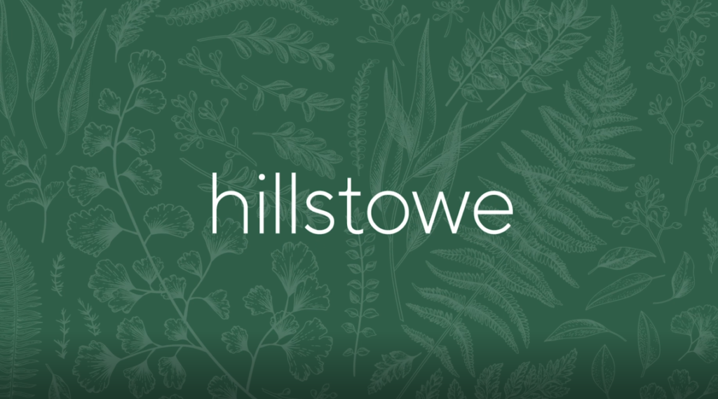 Watch Your Hillstowe Community Come to Life